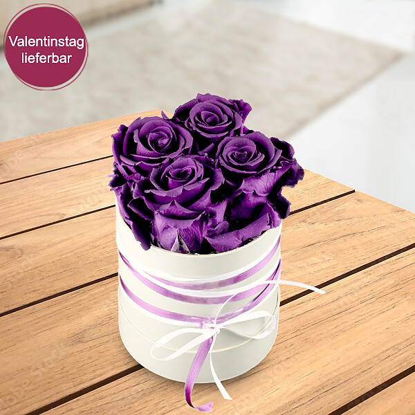 4 lila haltbare Rosen in Hutschachtel