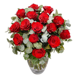 Rote Premiumrosen