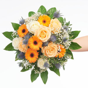 Viel Gesundheit! (inaktiv)