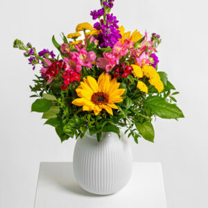 Sonnige Gr&uuml;&szlig;e