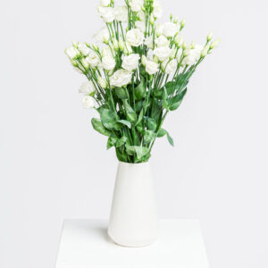 Lisianthus wei&szlig;