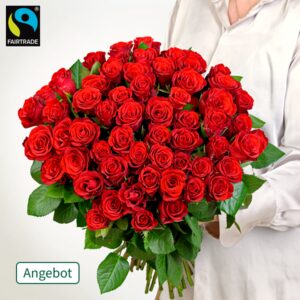 50 rote Fairtrade Rosen im Bund
