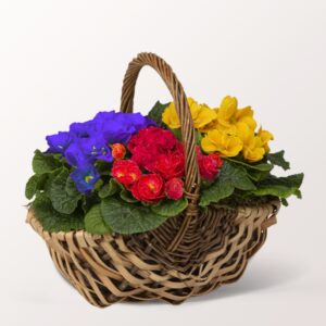 Märchenhafter Frühlingskorb