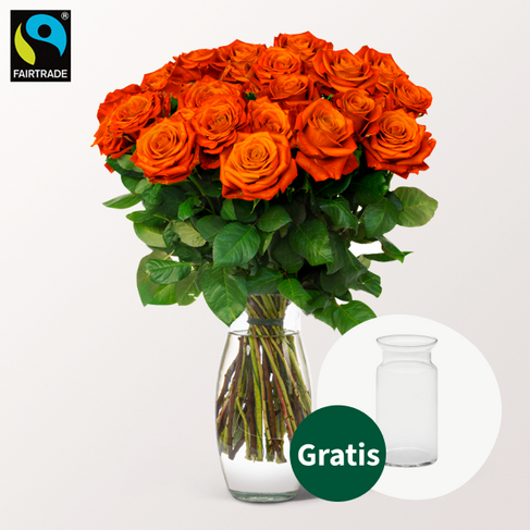 Orange Fairtrade Rosen im Bund