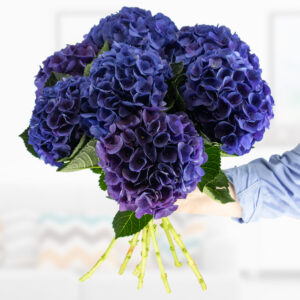 Blauer Hortensien Blumenstrauß – 3, 5 oder 7 Stiele