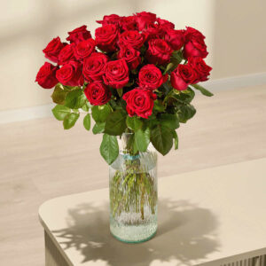 Rote Premium-Rosen - 25 Stiele