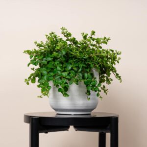 Übertopf Keramik Sand - 10,5 cm