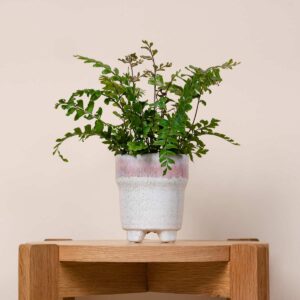 Keramik Übertopf Orchidee Rosa/Weiß - 10 cm