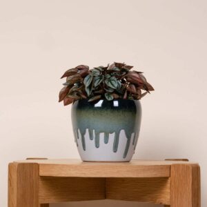 Keramik Übertopf Orchidee Blau - 12 cm