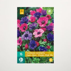 Anemonen 'Pink-Purple' Mix - 15 Knollen