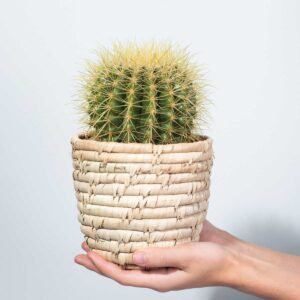 Schwiegermutterstuhl 'Grussoni' L