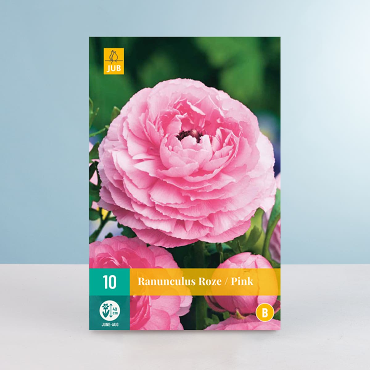 Ranunkel rosa - 10 Knollen