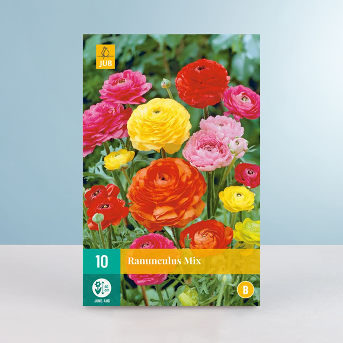 Ranunkel Mix - 10 Knollen