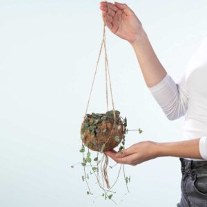 Kokodama 'String of Hearts' Ampel