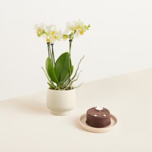 Traumhaft mit Blumen-Sachertorte 200g