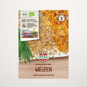 Weizen Keimsprossen BIO