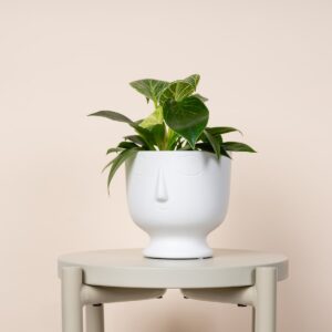 Keramik Übertopf Gesicht Weiß - 13 cm