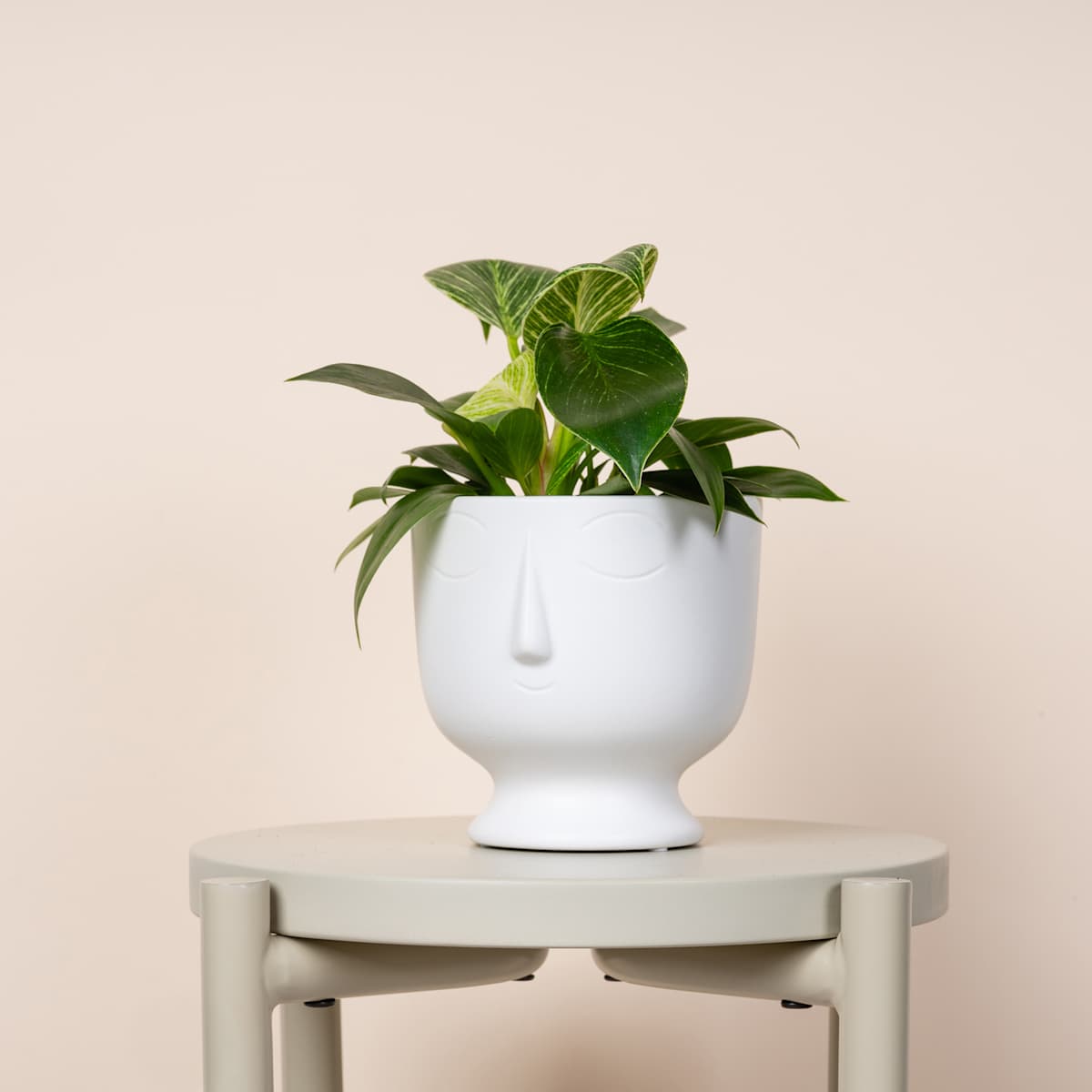 Keramik Übertopf Gesicht Weiß - 13 cm