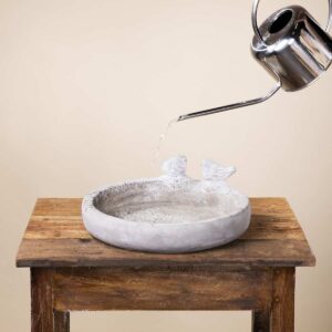 Beton Vogeltränke Schriftzug "Swimmingpool"