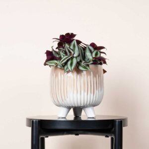 Keramik Übertopf Farbverlauf Rosa-Weiß - 13 cm