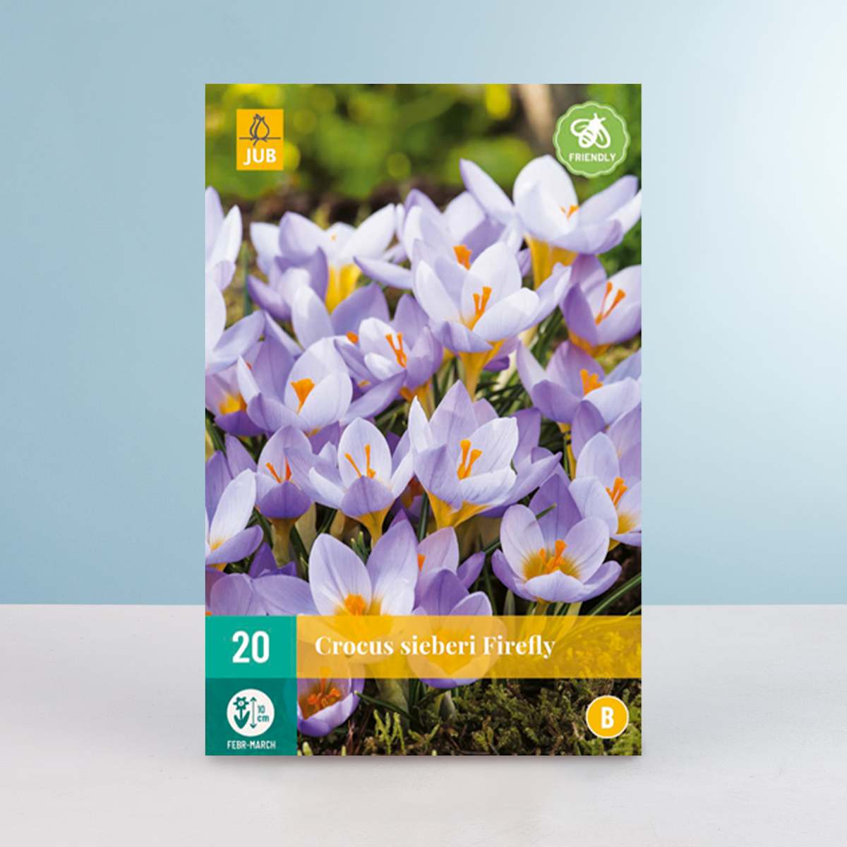 Botanischer Krokus 'Sieberi Firefly' - 20 Knollen