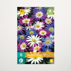 Balkan-Windröschen Mix - 15 Knollen