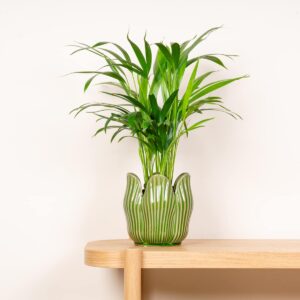 Keramik Übertopf Blütendesign Grün - 16 cm