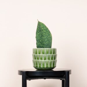 Keramik Übertopf Grün - 11,5 cm