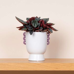 Keramik Übertopf Henkel Weiß/Flieder