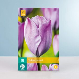 Triumph Tulpe 'Jacuzzi' - 10 Zwiebeln