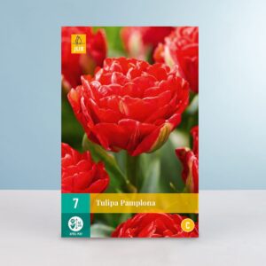 Gefüllte frühe Tulpe 'Pamplona' - 7 Zwiebeln