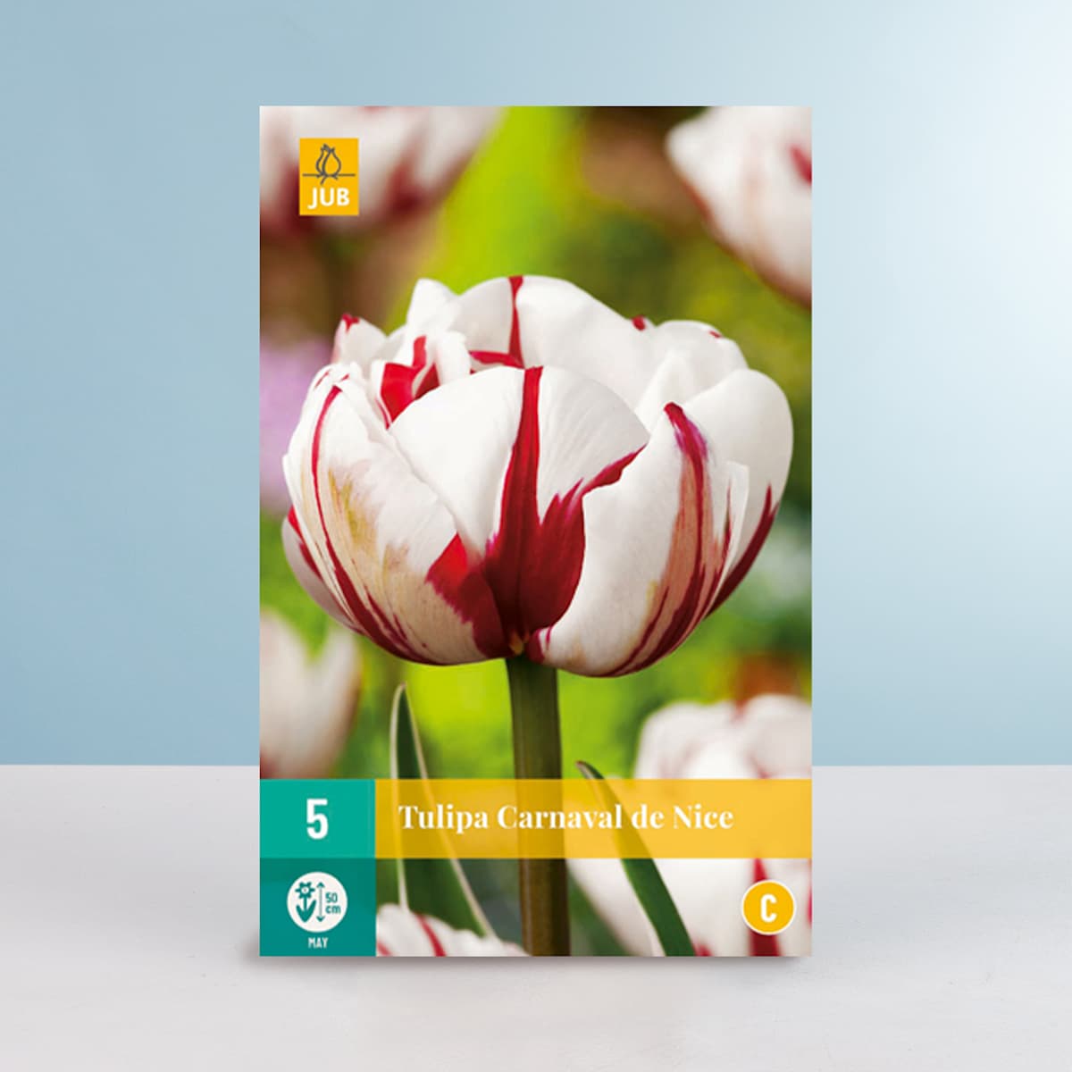 Gefüllte späte Tulpe 'Carnaval de Nice' - 5 Zwiebeln