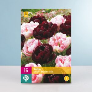 Gefüllte Tulpen 'Sweet Desire' Mix - 15 Zwiebeln