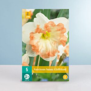 Schmetterlings-Narzisse 'Sunny Girlfriend' - 5 Zwiebeln