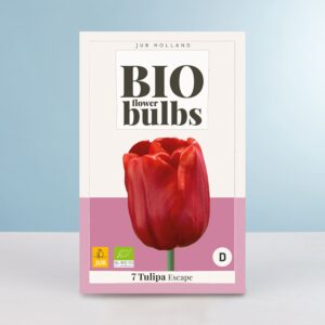 BIO Triumph Tulpe 'Escape' - 10 Zwiebeln
