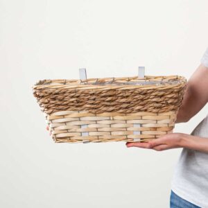 Weide Balkonkasten Natur