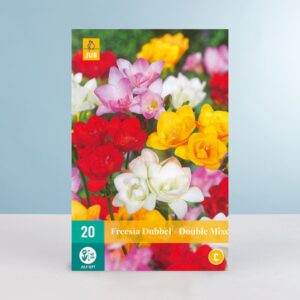 Gefüllte Freesien 'Double' Mix - 20 Zwiebeln