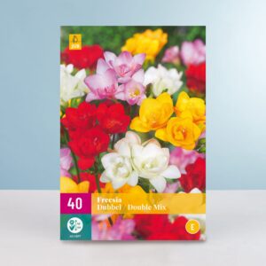 Gefüllte Freesien 'Double' Mix - 40 Zwiebeln