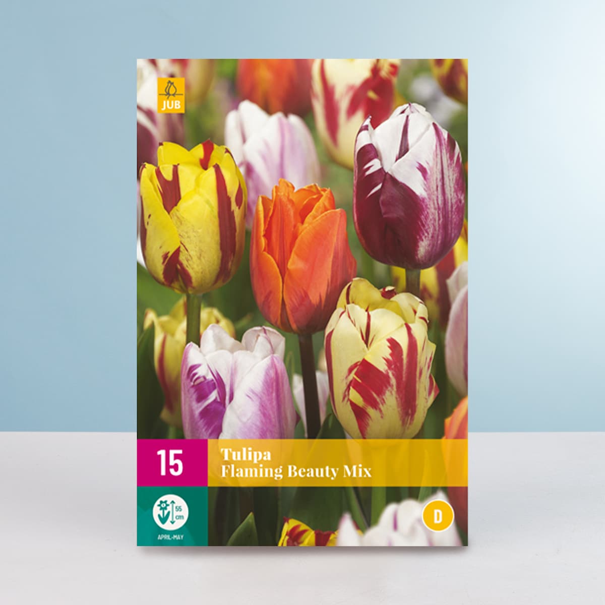 Tulpen 'Flaming Beauty' Mix - 15 Zwiebeln