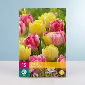 Gefüllte Frühe Tulpen 'Foxtrot' Mix - 15 Zwiebeln