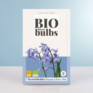 BIO Waldhyazinthen - blau - 7 Zwiebeln