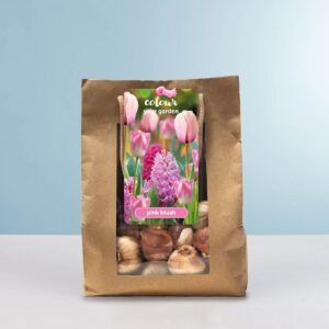 Tulpen & Hyazinthen 'Pink Blush' Mix - 10 Zwiebeln