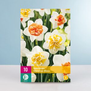 Narzissen 'Macaron Bloss' Mix - 10 Zwiebeln