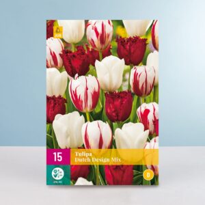 Tulpen 'Dutch Design' Mix - 15 Zwiebeln