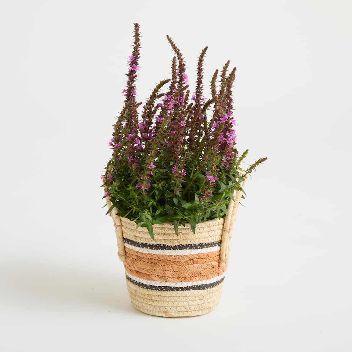 Seegras Korb Natur Orange - 14 cm