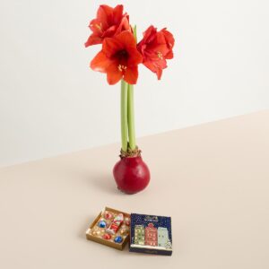 Winterbote mit Santas Kostbarkeiten 42g