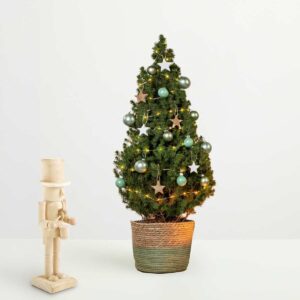 Prachtvoll mit Holznussknacker