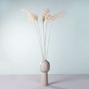 Mini Pampasgras 5 Stiele