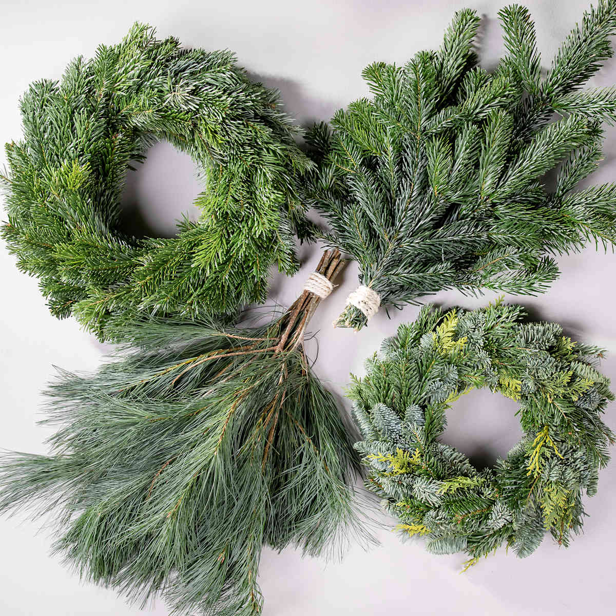 Tannenkränze mit Nordmanntanne und Seidenkiefer