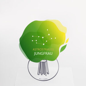 Astrostrauß Jungfrau